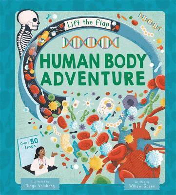 Cover for Autumn Publishing · Human Body Adventure - Lift The Flap Adventure Hunt (Hardcover Book) (2024)