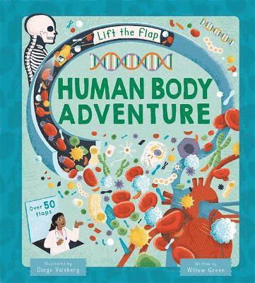 Cover for Autumn Publishing · Human Body Adventure - A Lift-the-Flap Book (Hardcover Book) (2025)