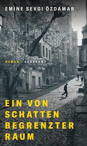 Cover for Emine Sevgi Özdamar · Ein von Schatten begrenzter Raum (Hardcover Book) (2021)