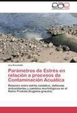 Cover for Rocchetta · Parámetros de Estrés en relac (Bog) (2012)