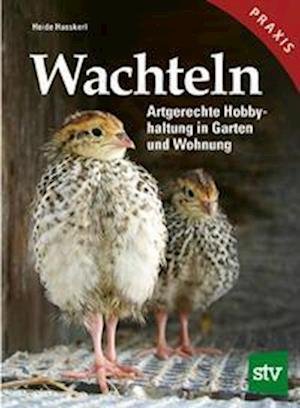 Cover for Heide Hasskerl · Wachteln (Pocketbok) (2022)