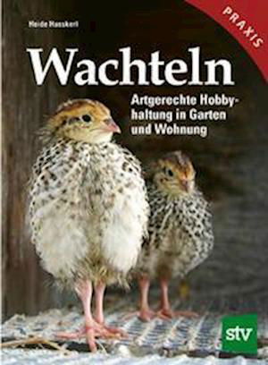 Wachteln - Heide Hasskerl - Książki - Stocker Leopold Verlag - 9783702020088 - 31 marca 2022