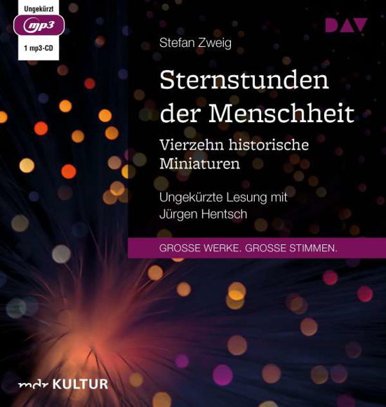 Sternstunden der Menschheit. V - Stefan Zweig - Muziek - Der Audio Verlag - 9783742419088 - 