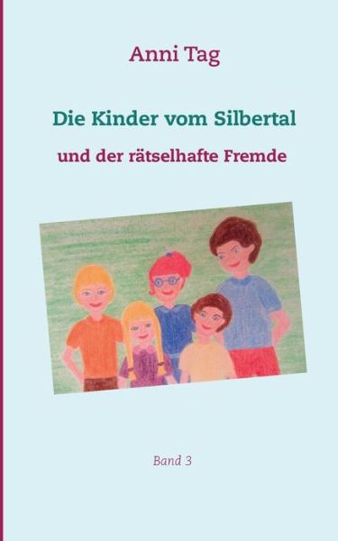 Cover for Anni Tag · Die Kinder vom Silbertal und der ratselhafte Fremde (Taschenbuch) (2019)