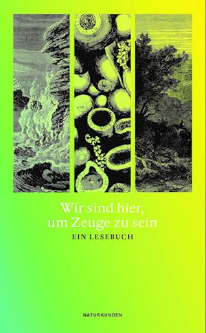 Cover for Judith Schalansky · Wir sind hier, um Zeuge zu sein (Bok) (2023)