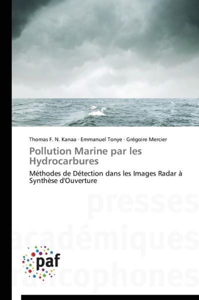 Cover for Grégoire Mercier · Pollution Marine Par Les Hydrocarbures: Méthodes De Détection Dans Les Images Radar À Synthèse D'ouverture (Paperback Book) [French edition] (2018)