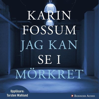 Cover for Karin Fossum · Jag kan se i mörkret (Lydbog (MP3)) (2012)