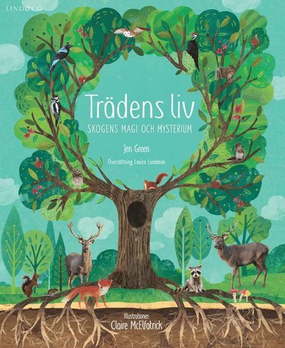 Cover for Jen Green · Trädens liv : skogens magi och mysterium (Indbundet Bog) (2019)