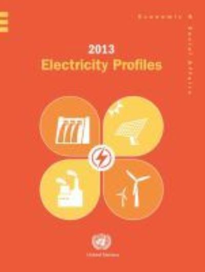 Cover for United Nations: Department of Economic and Social Affairs · 2013 electricity profiles (Paperback Book) (2016)