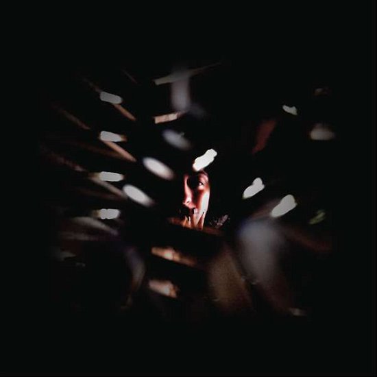 Cover for Ora Cogan · Shadowland (LP) (2017)