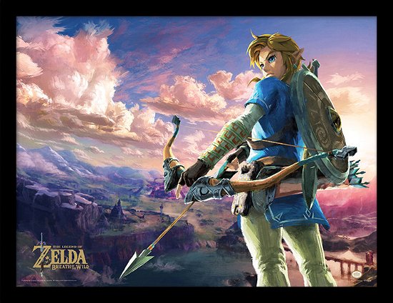 Cover for Nintendo: Legend Of Zelda (The) · ZELDA - Collector Print HQ 32X42 - Hyrule Scene La (MERCH)