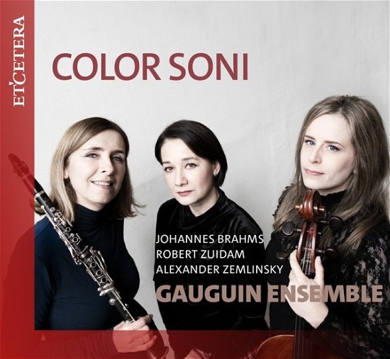 Color Soni - Gauguin Ensemble - Musique - ETCETERA - 8711801018089 - 29 mars 2024