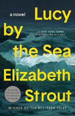Cover for Elizabeth Strout · Lucy by the Sea (Bog) (2023)