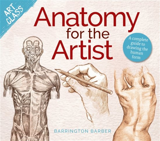 Cover for Barrington Barber · Art Class: Anatomy for the Artist: A complete guide to drawing the human form - Art Class (Paperback Book) (2024)