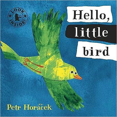 Cover for Petr Horacek · Hello, Little Bird (Board book) (2010)