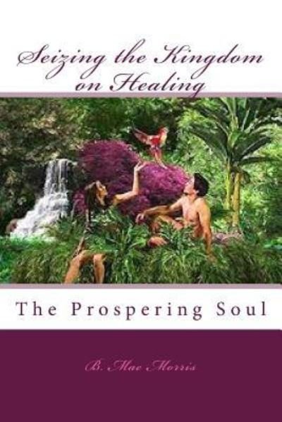 Cover for B Mae Morris · Seizing the Kingdom on Healing (Paperback Bog) (2014)