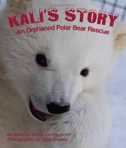 Cover for Jennifer Keats Curtis · Kali's Story: an Orphaned Polar Bear Rescue (Inbunden Bok) (2014)