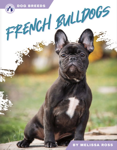 Cover for Melissa Ross · French Bulldogs - Dog Breeds (Hardcover Book) (2024)