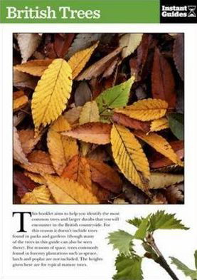 British Trees: The Instant Guide - Instant Guides - Instant Guides - Boeken - Icon Books - 9781780500089 - 21 juni 2011