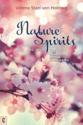 Nature Spirits and What They Say: Messages from Elemental and Nature Beings - Verena Stael von Holstein - Kirjat - Clairview Books - 9781912992089 - keskiviikko 6. marraskuuta 2019