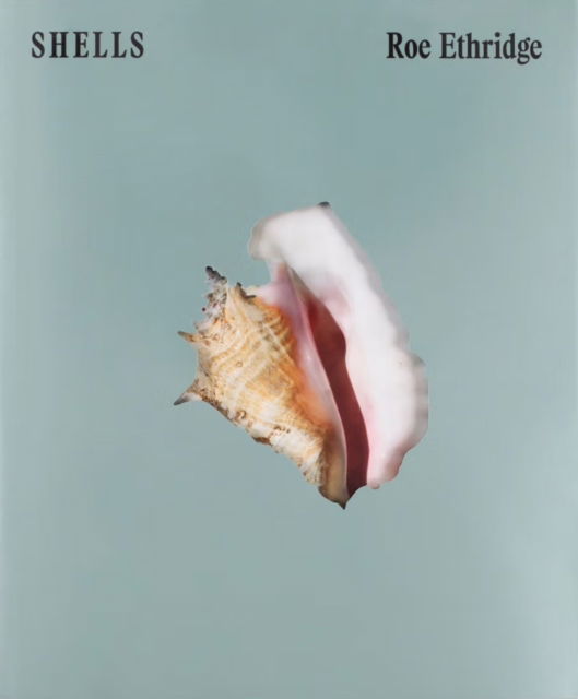 Cover for Roe Ethridge · Shells (Paperback Book) (2024)