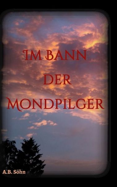 Cover for A B Soehn · Im Bann der Mondpilger (Hardcover bog) (2021)
