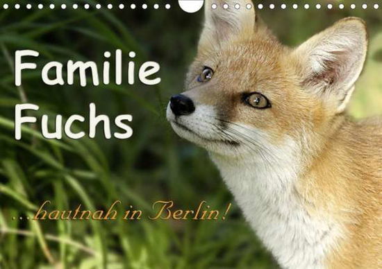 Cover for Brinker · Familie Fuchs hautnah in Berlin (Book)