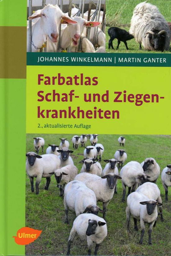 Cover for Winkelmann · Farbatlas Schaf- und Ziegenk (Book)