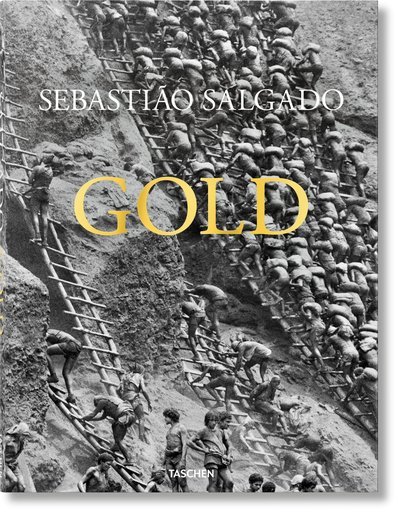 Cover for Alan Riding · Sebastiao Salgado. Gold (Gebundenes Buch) [Multilingual edition] (2019)