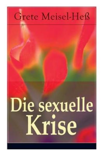 Cover for Grete Meisel-Hess · Die sexuelle Krise (Paperback Book) (2017)