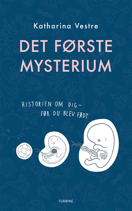 Det første mysterium - Katharina Vestre - Bøger - Turbine Forlaget - 9788740622089 - 28. august 2018