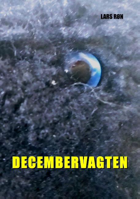 Cover for Lars Røn · Decembervagten (Paperback Book) [1. wydanie] (2020)