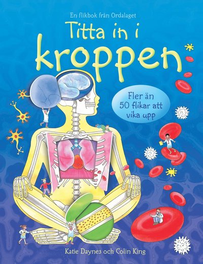 Cover for Katie Dynes · Titta in i kroppen (Board book) (2020)