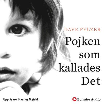 Cover for Dave Pelzer · Pojken som kallades det (Hörbuch (MP3)) (2019)