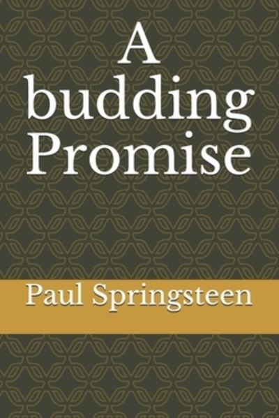 Cover for Paul Springsteen · A budding Promise - The 1st Expedition (Paperback Book) (2021)