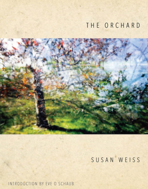 Cover for Susan Weiss · The Orchard (Paperback Book) (2024)