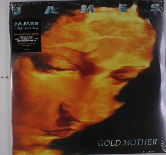 Cover for James · Gold Mother (LP) (2017)