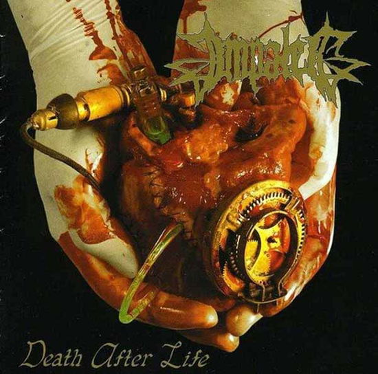 Cover for Impaled · Death After Life (CD) (2025)