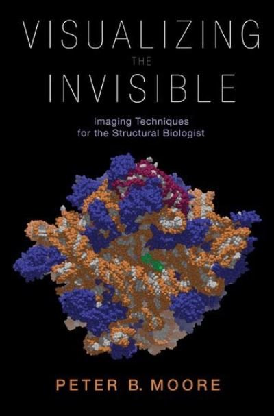 Cover for Peter Moore · Visualizing the Invisible Imaging Techni (Hardcover Book) (2012)