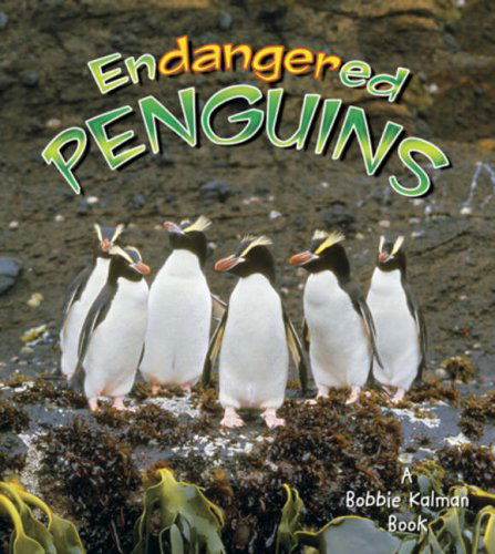 Cover for Robin Johnson · Endangered Penguins - Earths Endangered Animals (Paperback Book) (2007)