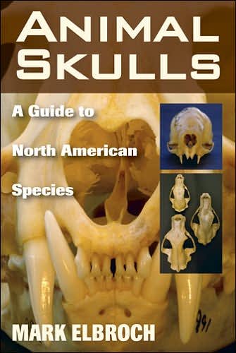 Cover for Lawrence Mark Elbroch · Animal Skulls: A Guide to North American Species (Paperback Book) (2006)