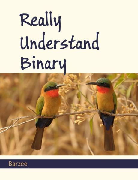 Really Understand Binary - Rex A. Barzee - Libros - Maia LLC - 9780983384090 - 1 de noviembre de 2014