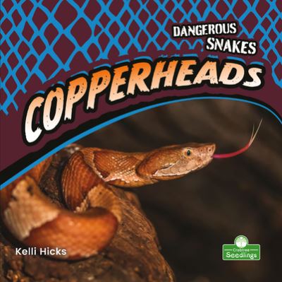 Cover for Kelli Hicks · Copperheads (Paperback Book) (2021)