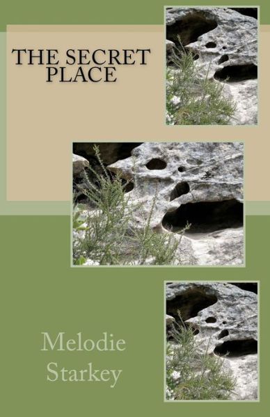 Cover for Melodie Starkey · The Secret Place (Paperback Book) (2011)