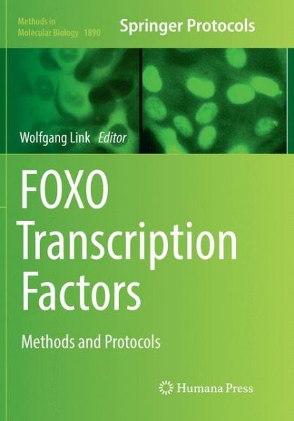Cover for FOXO Transcription Factors (Book) [Softcover reprint of the original 1st ed. 2019 edition] (2019)