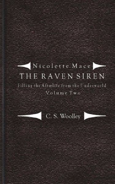 Cover for C S Woolley · Filling the Afterlife from the Underworld: Volume 2: Notes from the Case Files of the Raven Siren (Paperback Book) (2014)