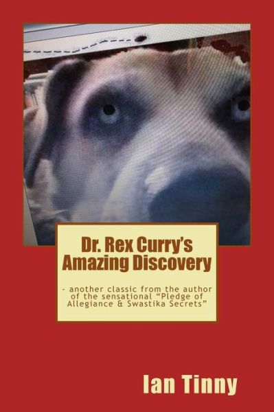 Cover for Ian Tinny · Dr. Rex Curry's Amazing Discovery (Paperback Book) (2014)