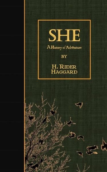 Cover for H Rider Haggard · She: a History of Adventure (Paperback Book) (2015)