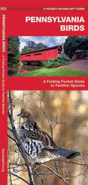 Cover for James Kavanagh · Pennsylvania Birds: a Folding Pocket Guide to Familiar Species (Pocket Naturalist Guide Series) (Pamphlet) [1st edition] (2017)