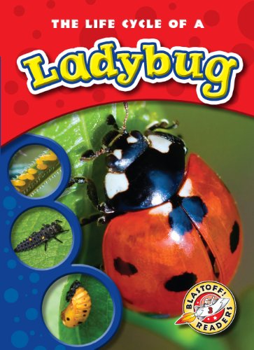 The Life Cycle of a Ladybug (Blastoff! Readers: Life Cycles) (Blastoff! Readers: Life Cycle of A... Level 3) - Colleen Sexton - Books - Bellwether Media - 9781600143090 - 2010